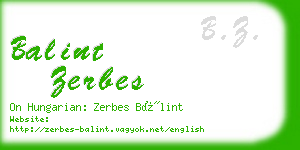 balint zerbes business card